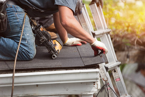 Best Shingle Roofing Installation  in Sunset, FL